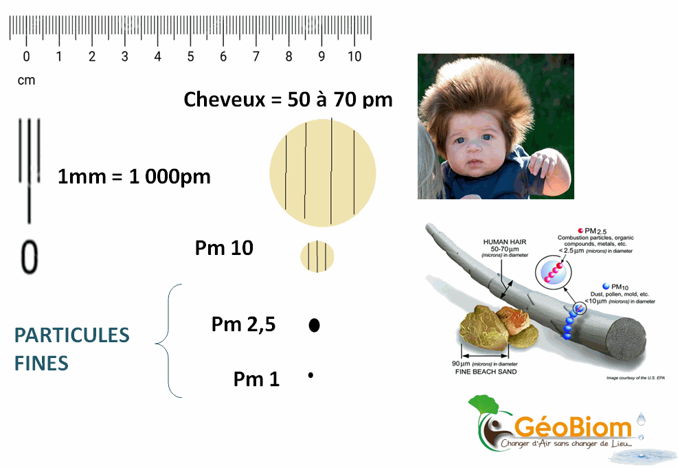 Odoo- Echantillon n° 2 pour trois colonnes