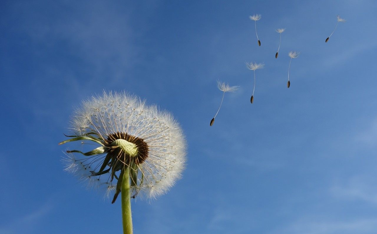 Pollution naturelle