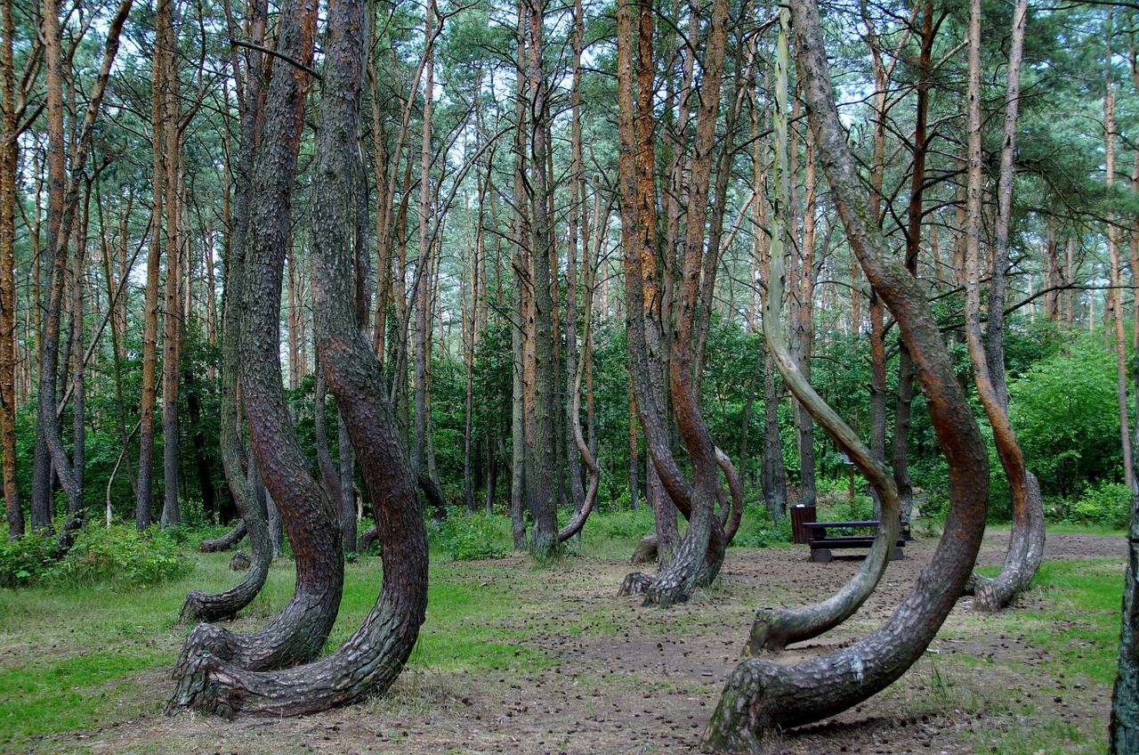 Géobiologie perturbations invisibles