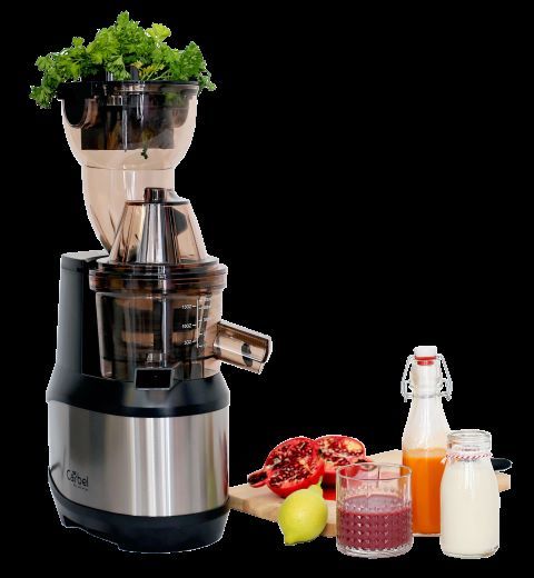 Extracteur de jus CARBEL