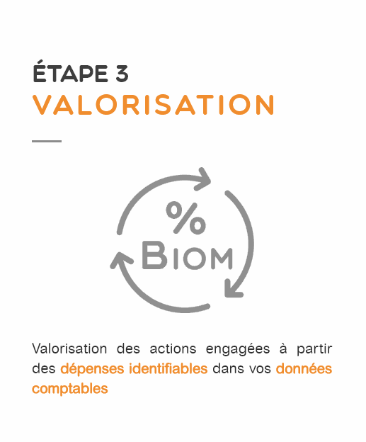 Odoo- Echantillon n° 3 pour trois colonnes